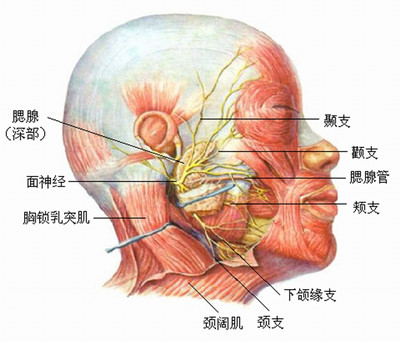 5_副本.jpg