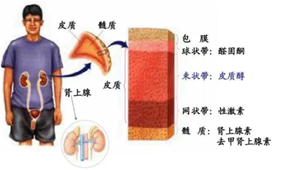 微信图片_202111241125431_副本.png