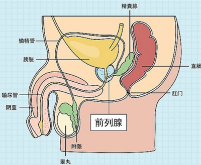 微信图片_202411051112501.png